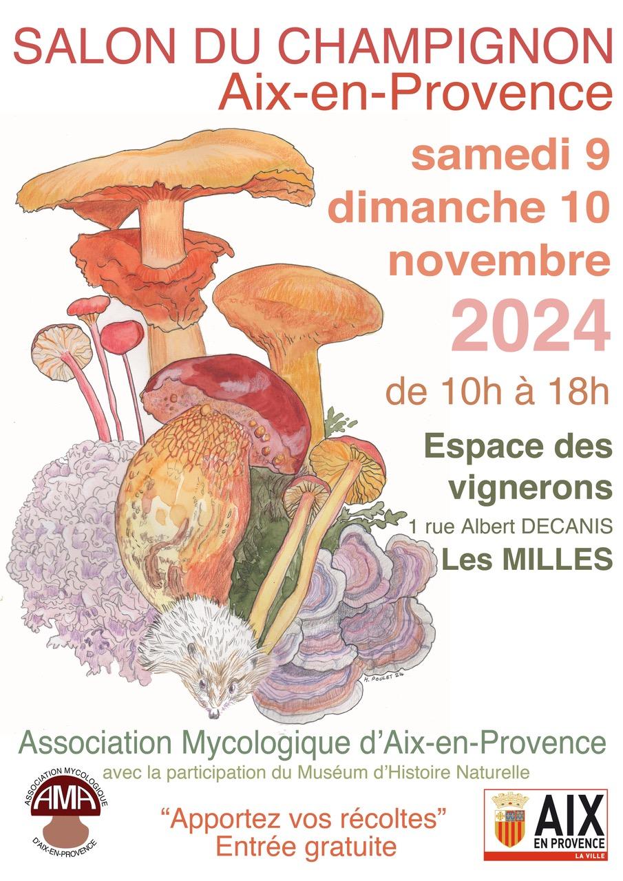 Affche 2024