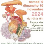 Affche 2024