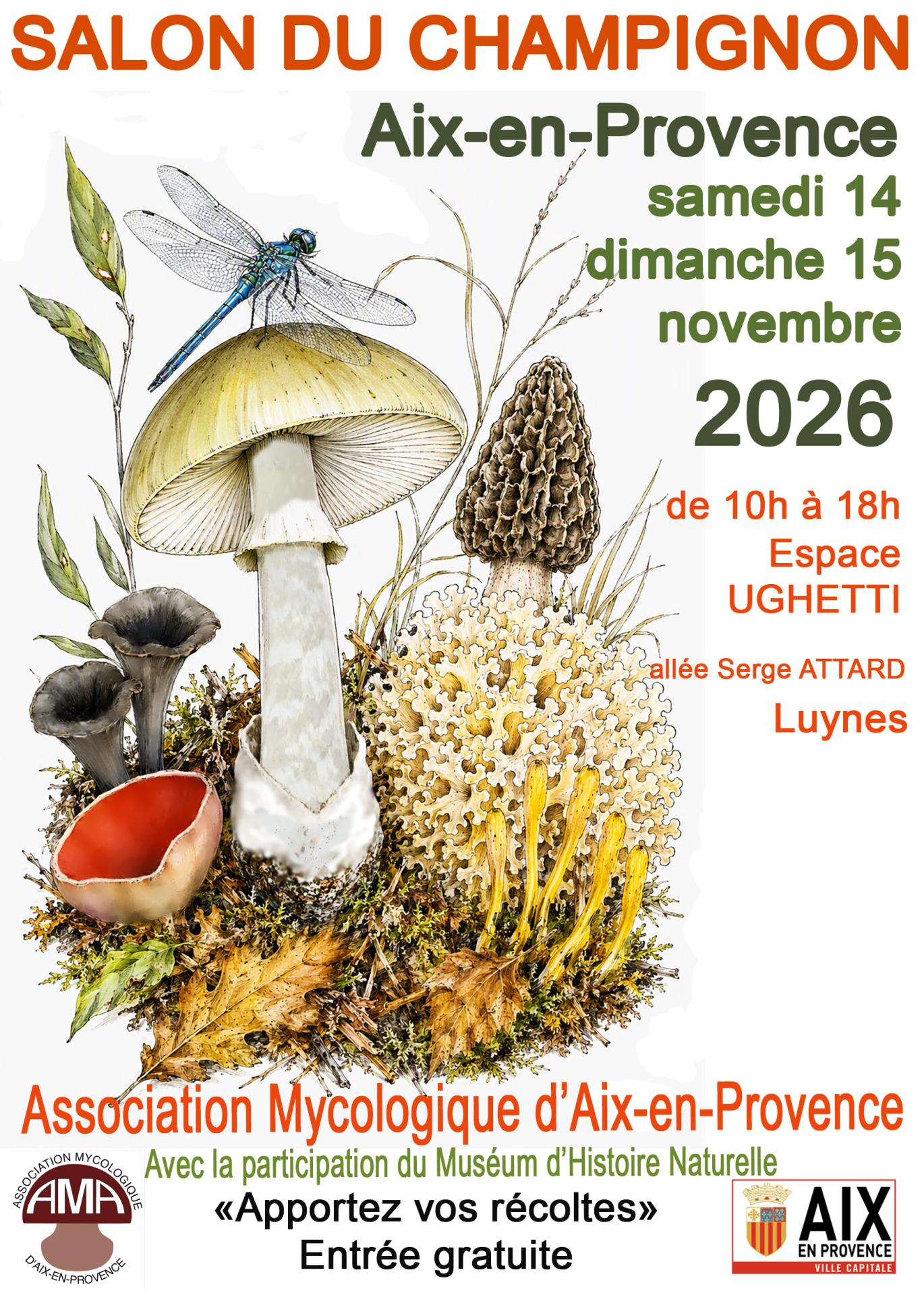Affiche champi 2026 ughetti